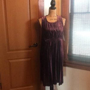 NWT Gap maternity dress **MATERNITY**